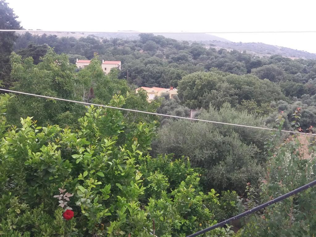 Grandma'S House Vederoi Βίλα Ρέθυμνο Εξωτερικό φωτογραφία