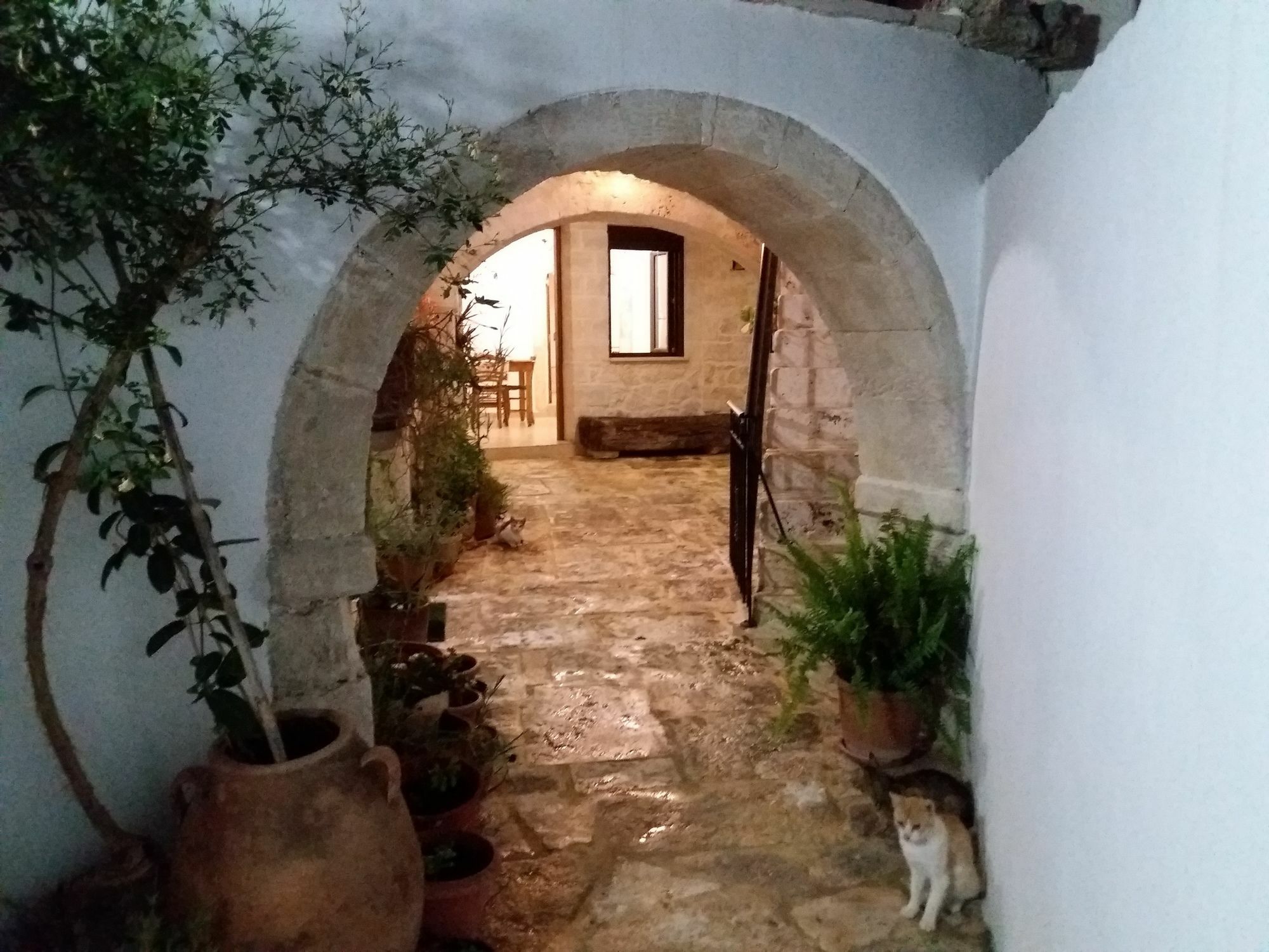Grandma'S House Vederoi Βίλα Ρέθυμνο Εξωτερικό φωτογραφία